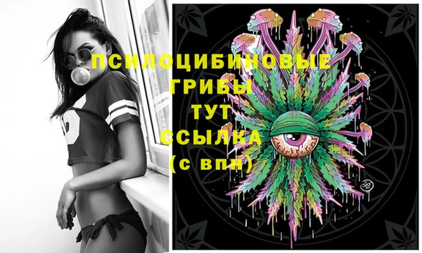 дурь Армянск